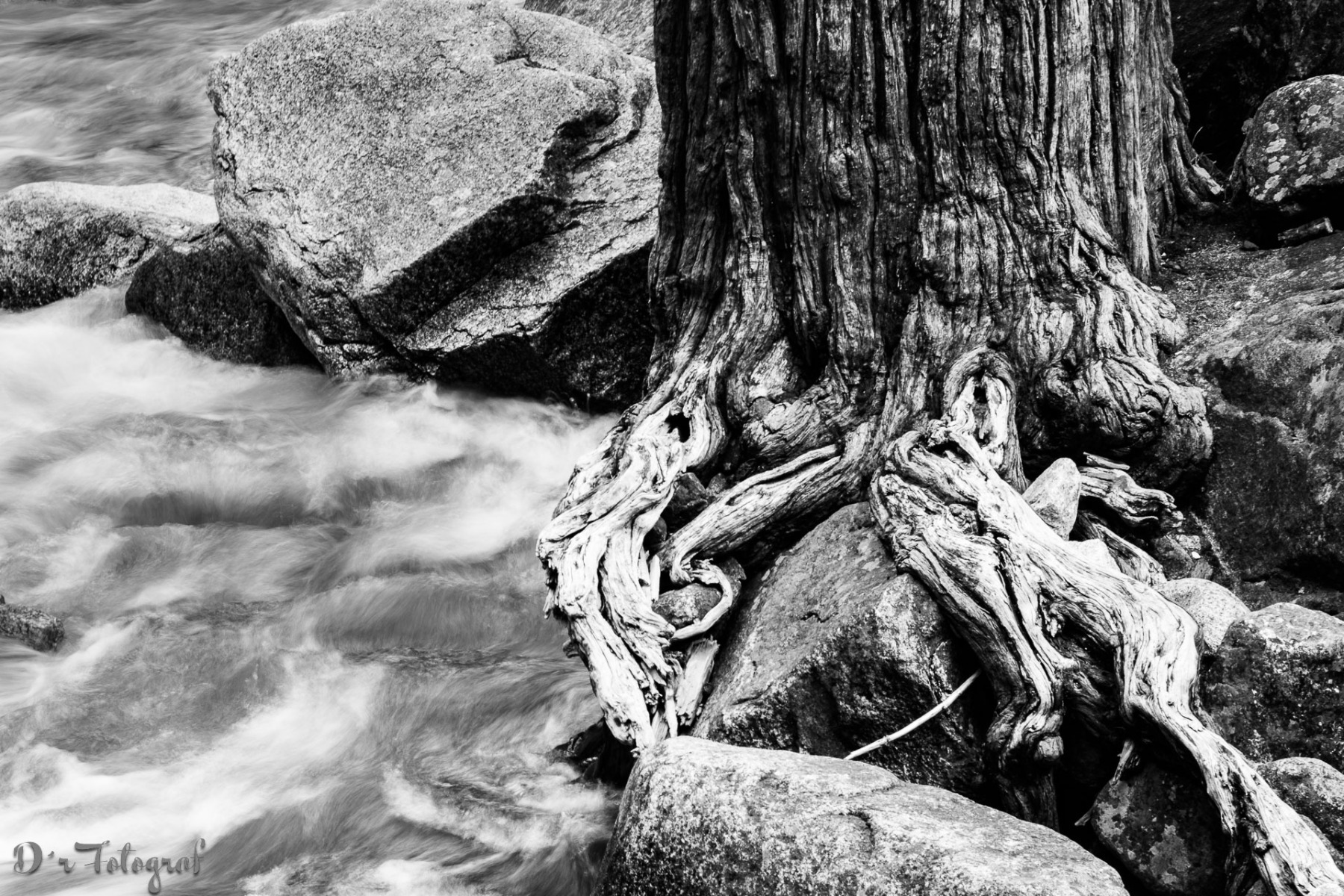 Yosemite Creek