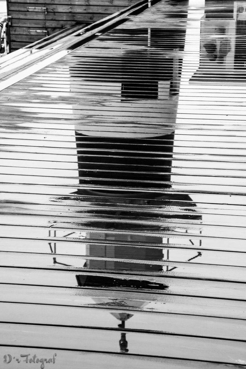 Reflection in the Rain