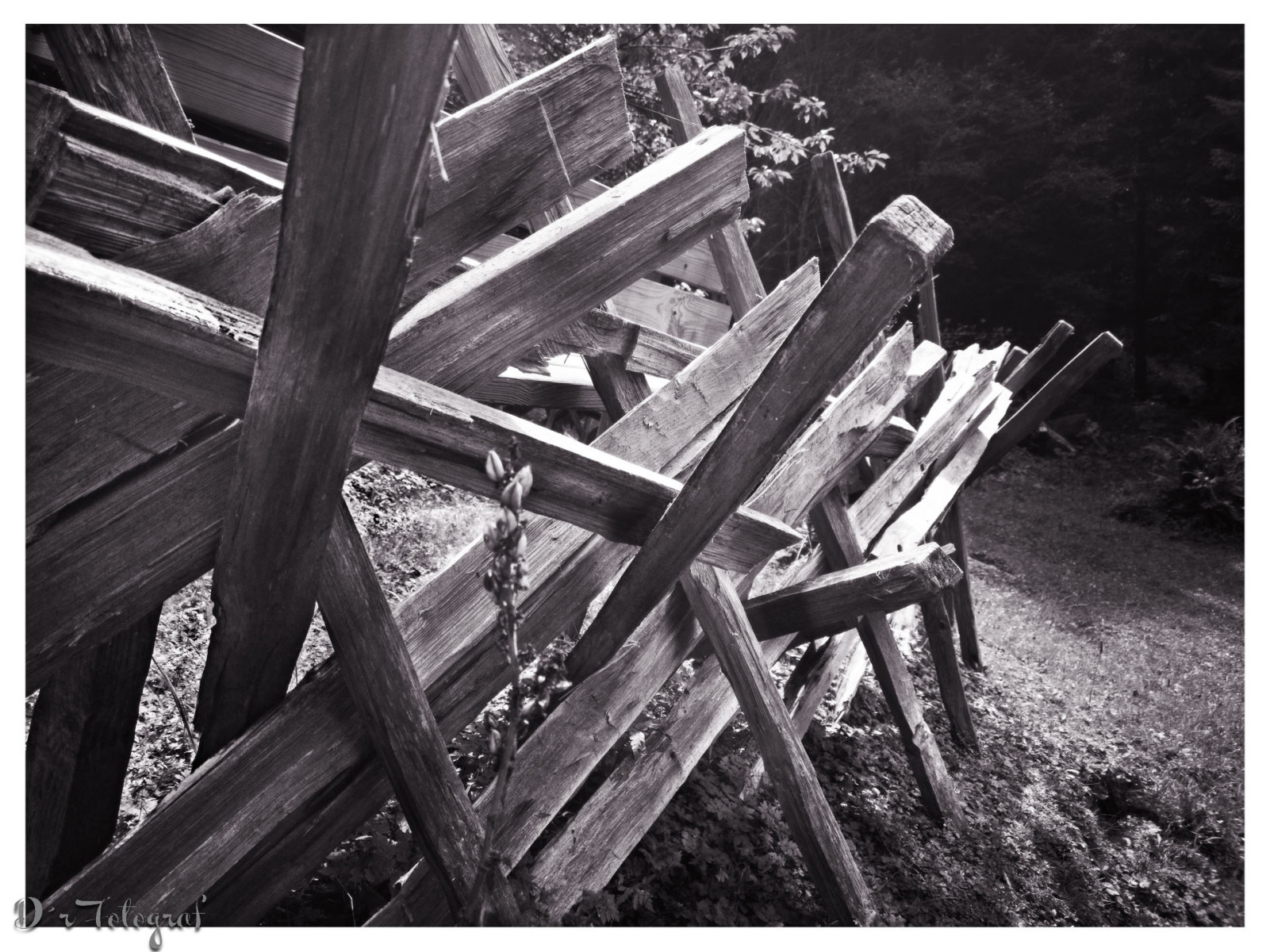 Luce e Ombra