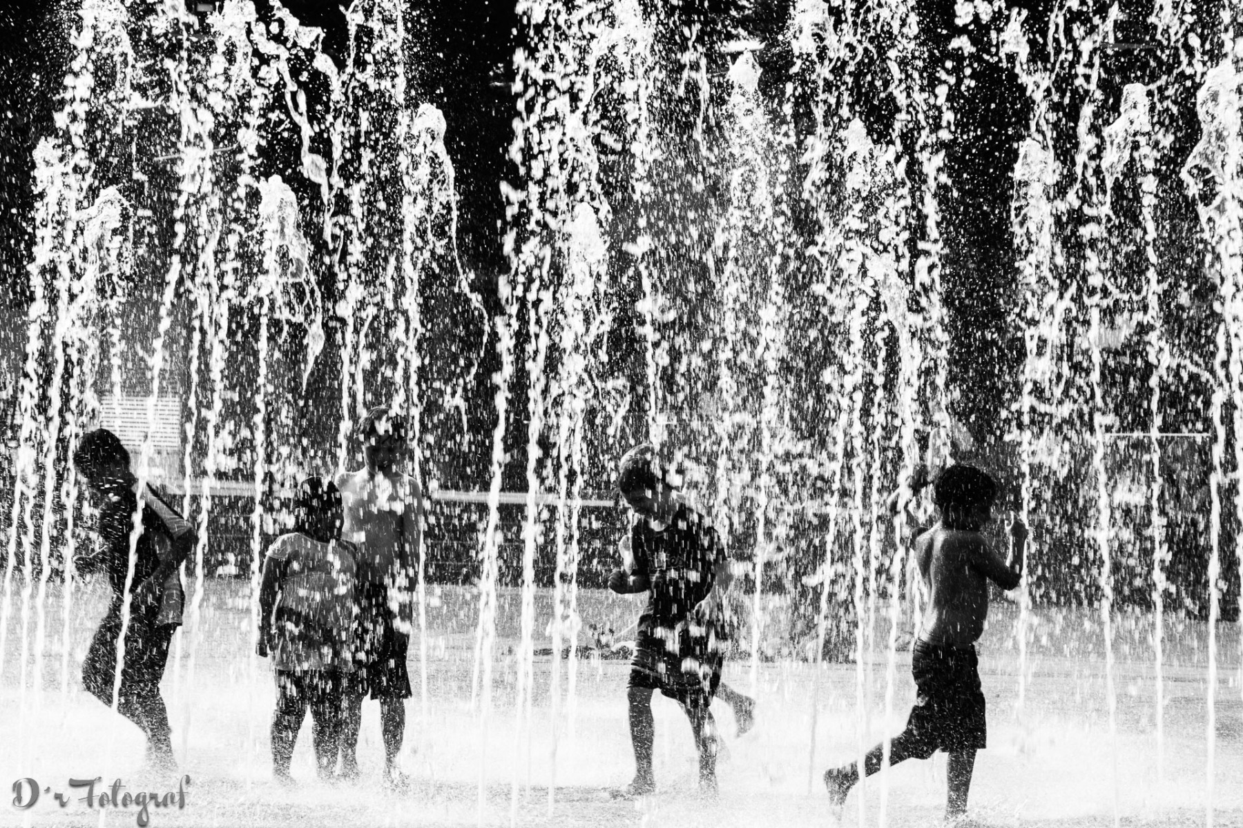 Summer Fun / New York City