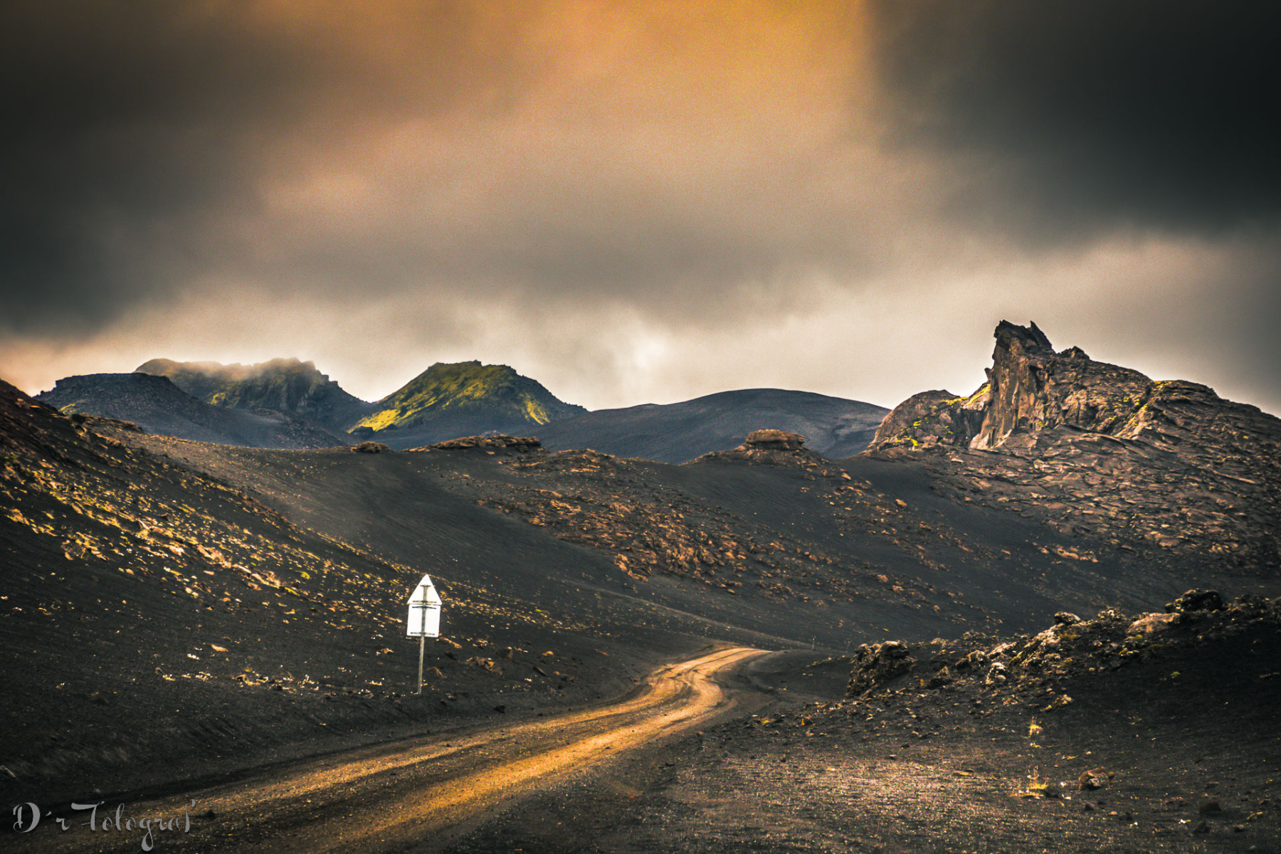 Road to the Light