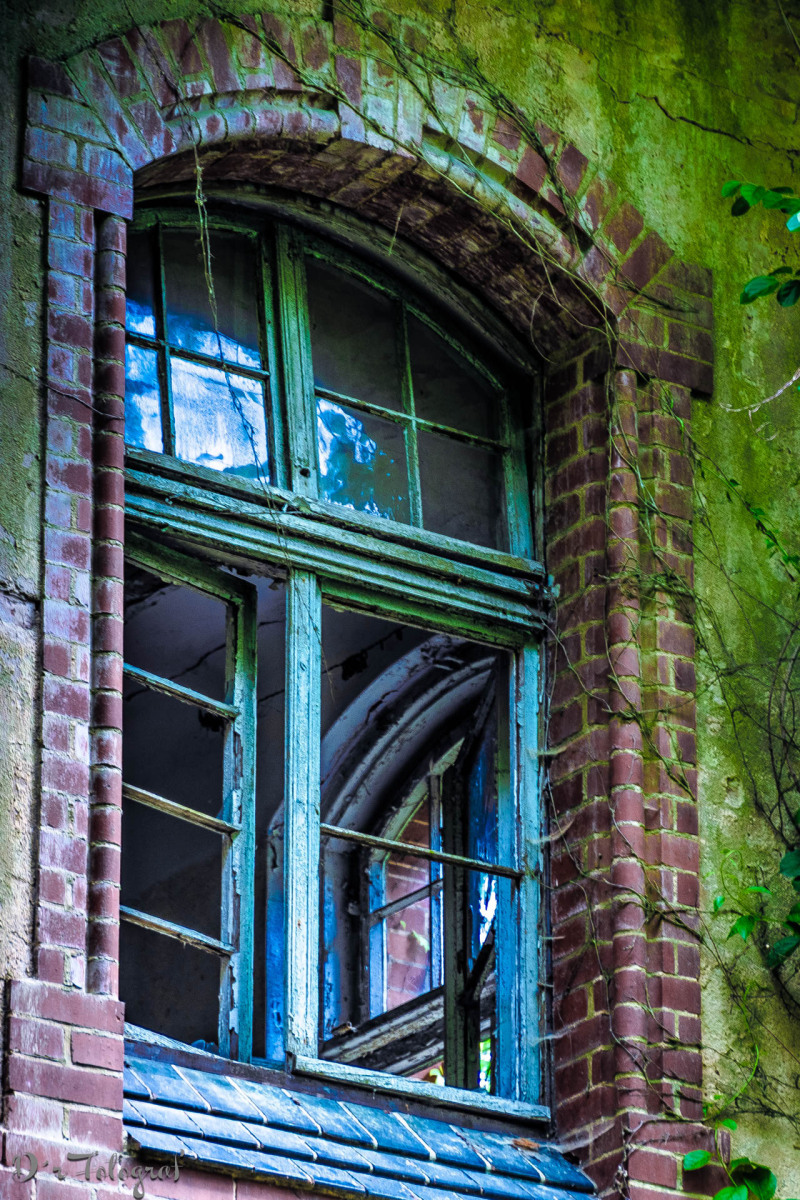 Ol´ Blue Window