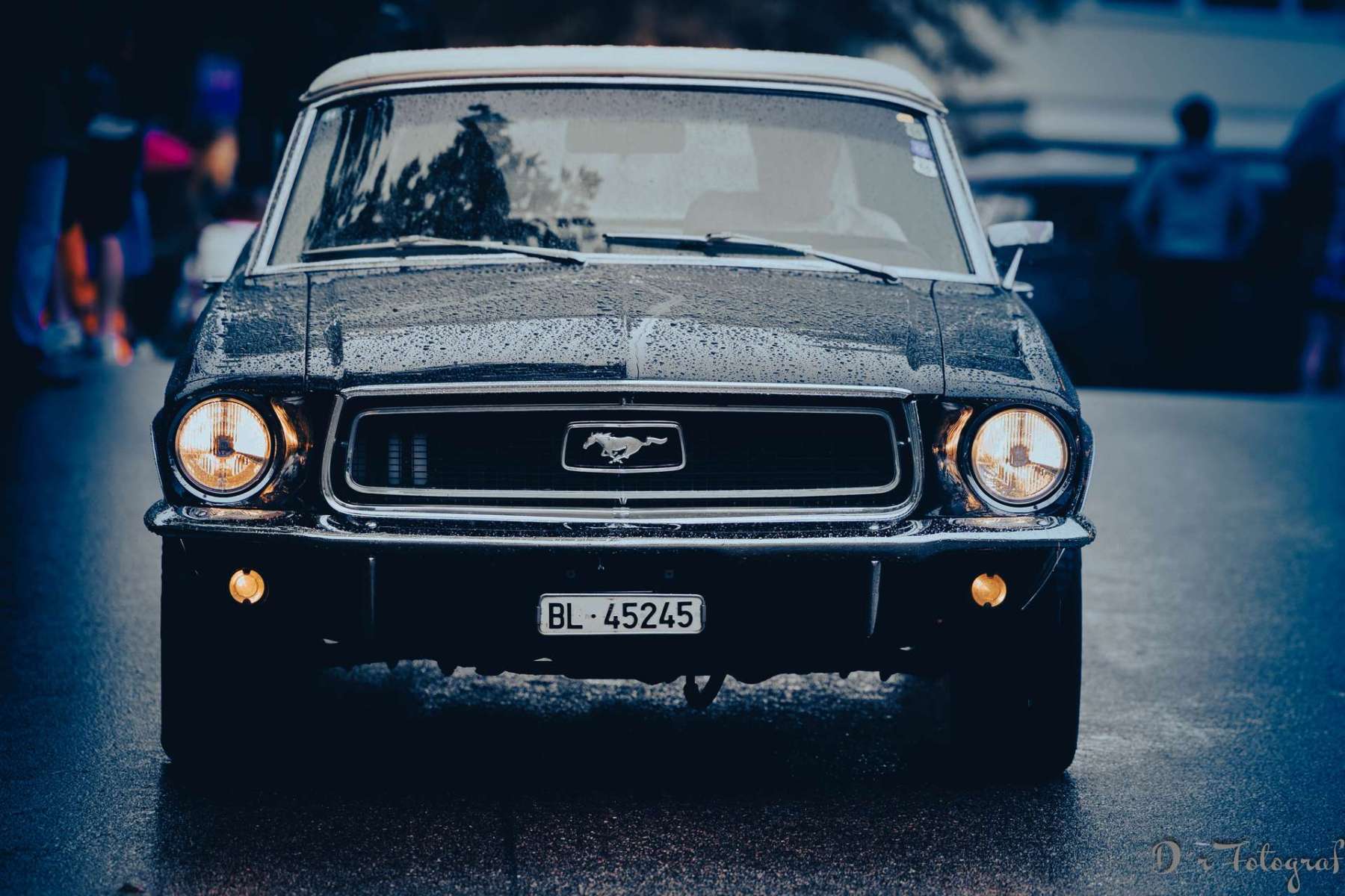 1_JW238808